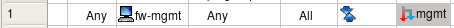 Passing a Packet to the "mgmt" Rule Set