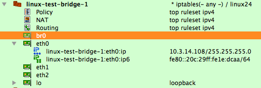 Bridge Interface br0