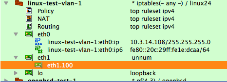 VLAN Subinterface eth1.100