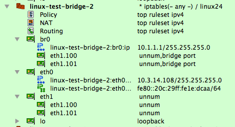 eth1.100 and eth1.101: VLAN Interfaces Acting as Bridge Ports