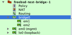 Bridge interface with two bridge ports