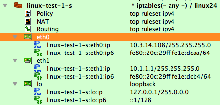 Configuration after Additional IPv4 and IPv6 Addresses Have Been Removed