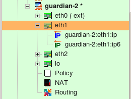 Interface Object with Both Address Families